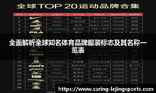 全面解析全球知名体育品牌服装标志及其名称一览表
